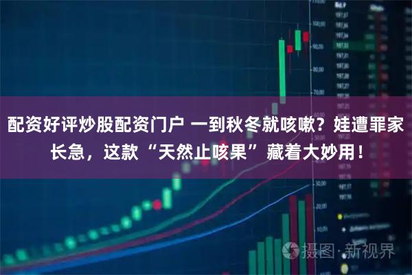 配资好评炒股配资门户 一到秋冬就咳嗽？娃遭罪家长急，这款 “天然止咳果” 藏着大妙用！