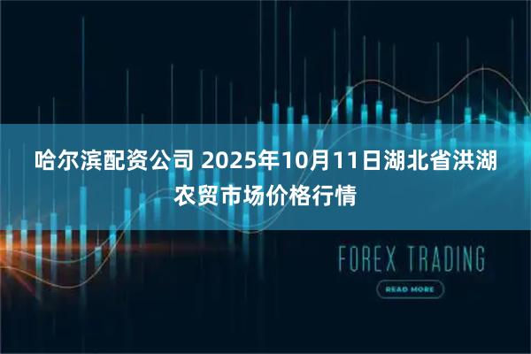 哈尔滨配资公司 2025年10月11日湖北省洪湖农贸市场价格行情