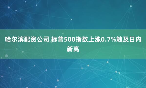 哈尔滨配资公司 标普500指数上涨0.7%触及日内新高