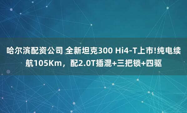 哈尔滨配资公司 全新坦克300 Hi4-T上市!纯电续航105Km，配2.0T插混+三把锁+四驱