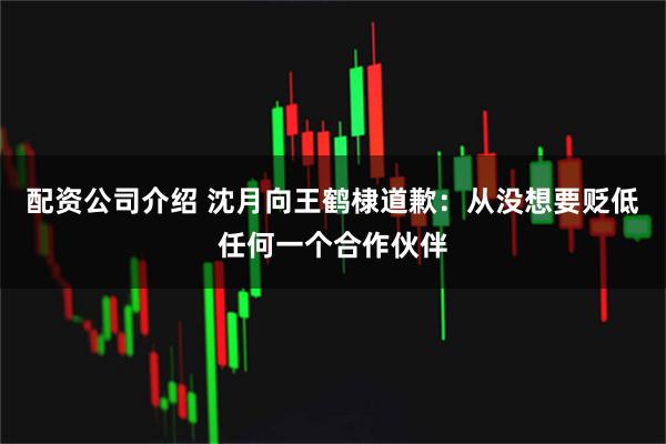 配资公司介绍 沈月向王鹤棣道歉：从没想要贬低任何一个合作伙伴