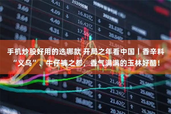 手机炒股好用的选哪款 开局之年看中国丨香辛料“义乌”、牛仔裤之都，香气满满的玉林好酷！